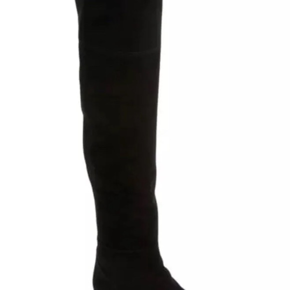 Stuart weitzman HiLo suede boots - Picture 3 of 6